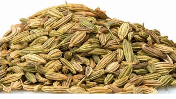 Vị thuốc tiểu Hồi hương