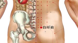 Vị trí huyệt bạch hoàn du