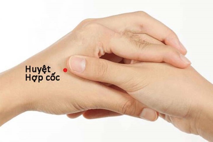 Vị trí huyệt hợp cốc
