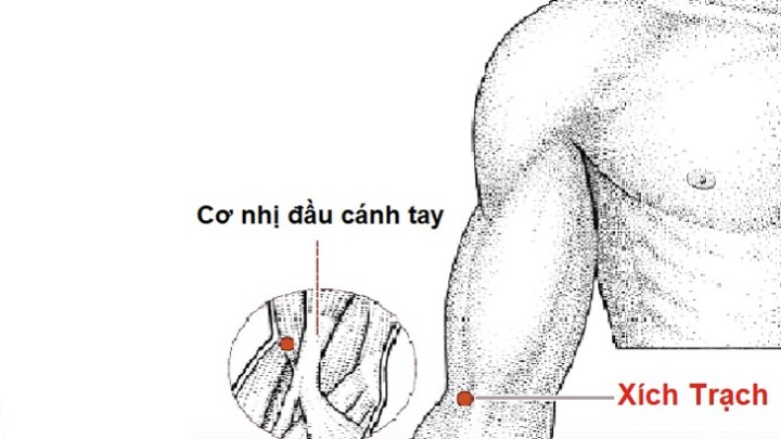 Vị trí huyệt xích trạch
