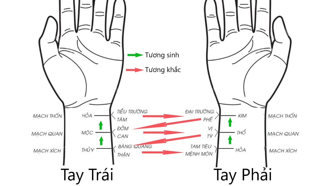 thiết chẩn trong đông y