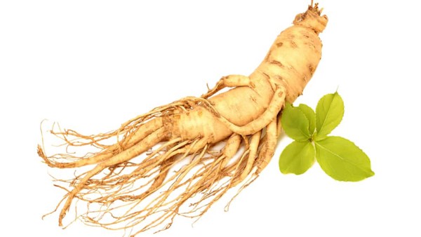 dùng lầm nhân sâm - cách dùng nhân sâm