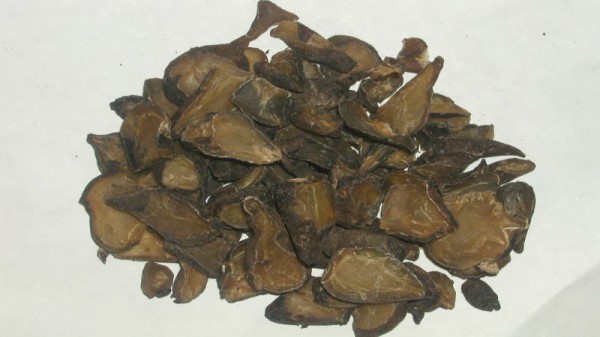 vị thuốc hắc phụ tử