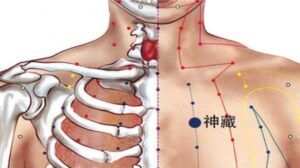 huyệt Thần tàng