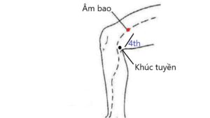 huyệt Âm bao