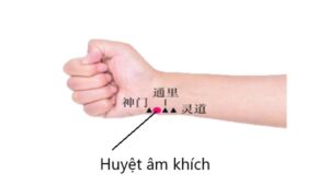 huyệt âm khích