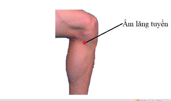 Huyệt âm lăng tuyền