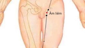 huyệt Âm liêm