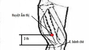 huyệt âm thị