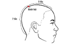 huyệt Bách hội