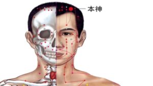 huyệt bản thần