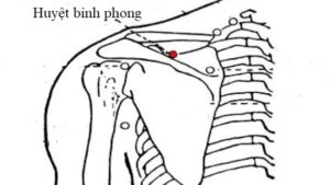 huyệt bỉnh phong