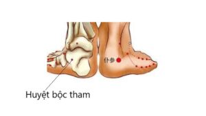 Vị thuốc Bộc tham