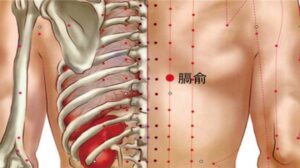 Vị trí huyệt Cách du