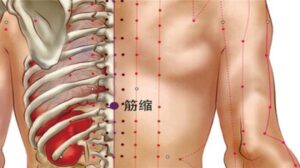 huyệt Cân súc