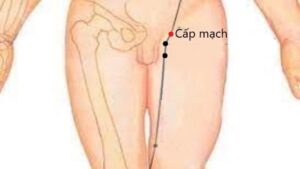 huyệt Cấp mạch