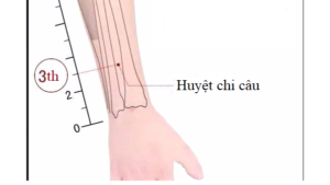 huyệt chi câu