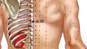 huyệt Chí dương