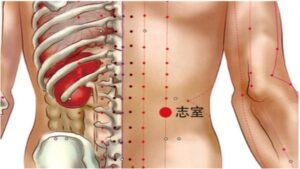 Vị trí huyệt Chí thất