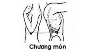huyệt Chương môn