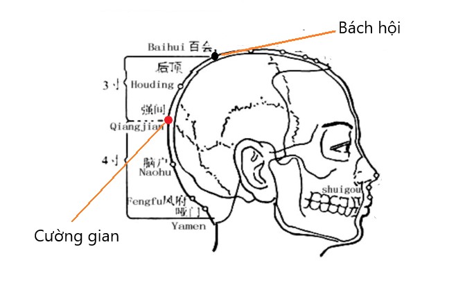 huyệt Cường gian
