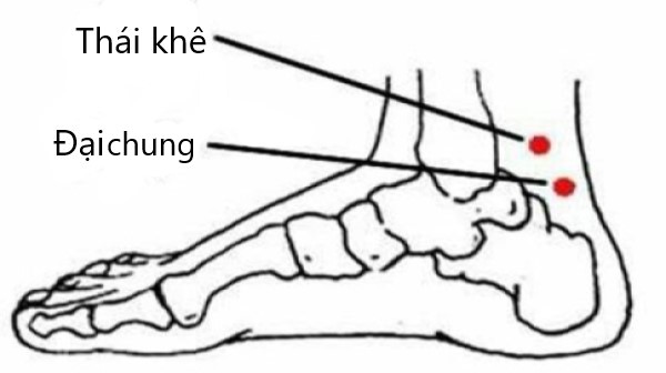 Vị trí huyệt đại chung