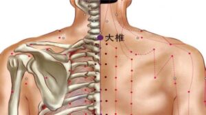 huyệt Đại chùy