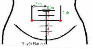 huyệt đại cự