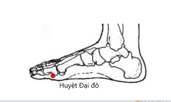 huyệt đại đô