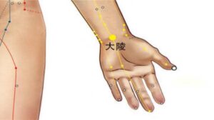 huyệt Đại lăng