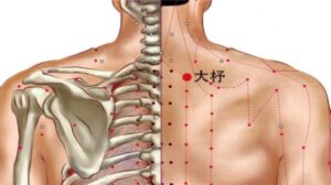 Vị trí huyệt Đại trữ 