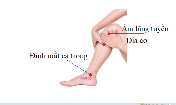 Huyệt địa cơ