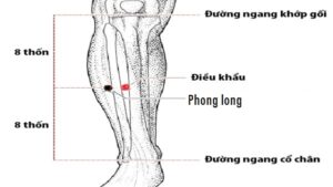 huyệt điều khẩu