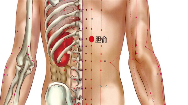 Vị trí huyệt Đởm du