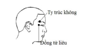 huyệt Đồng tử liêu