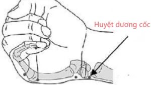 huyệt dương cốc