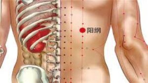 huyệt dương cương