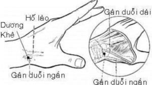 huyệt dương khê