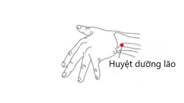 Huyệt dưỡng lão