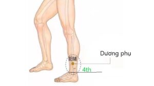 huyệt Dương phụ