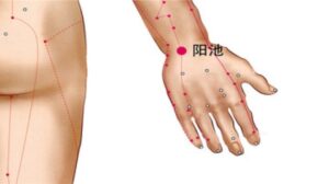 huyệt Dương trì