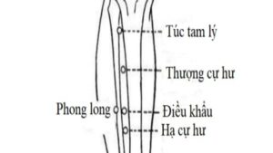 huyệt hạ cự hư