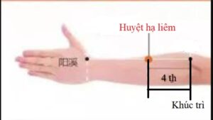 huyệt hạ liêm