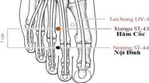 huyệt hãm cốc