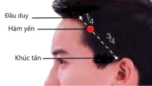 huyệt Hàm yến