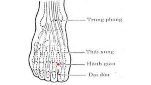 huyệt Hành gian