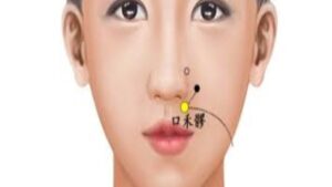 Vị trí huyệt Hòa liêu