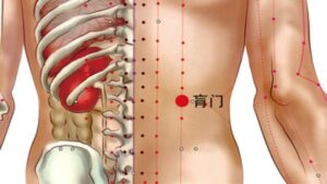 Vị trí huyệt Hoang môn