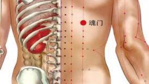 Vị trí huyệt Hồn môn