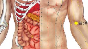 huyệt Khúc trạch